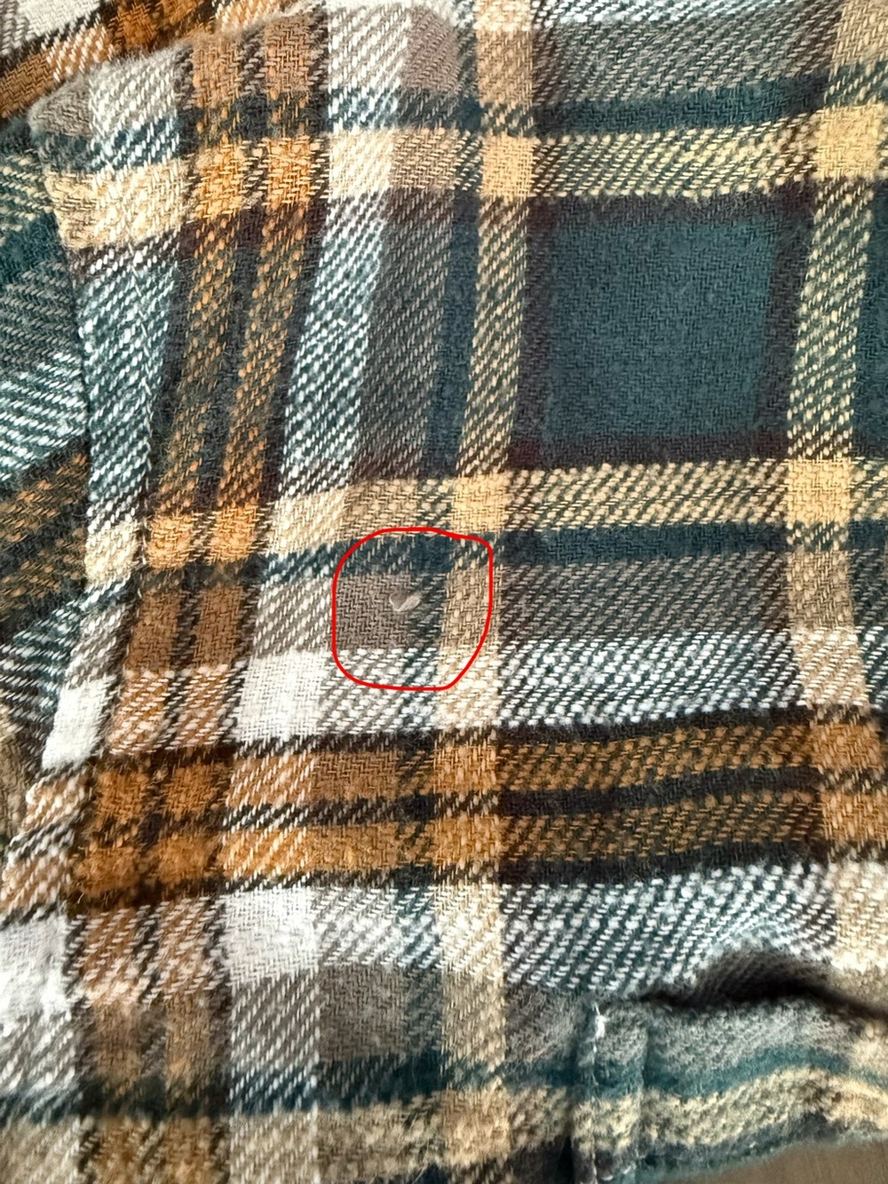 American Eagle Teal, Brown & White Plaid Button-Down Shirt w/denim roll up cuffs - Picture 8 of 8